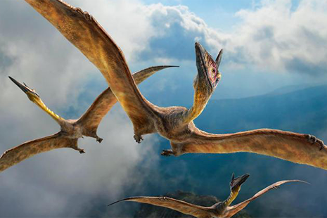 數(shù)字展廳 影(yǐng)視(shì)特效 VR/AR內(nèi)容定制(zhì) 小(xiǎo)程序 微(wēi)信公衆号